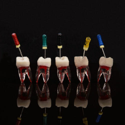 Dental Lab Tooth Root Canal Model For RCT Practice Block Pulp Study Cavity Tool
