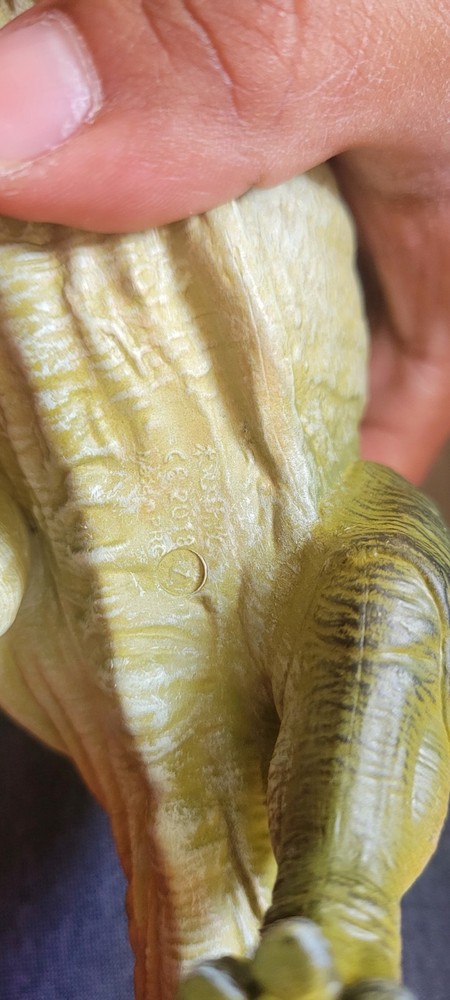 Nanmu Studio Sinoceratops