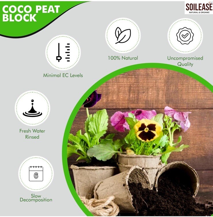 Coco Peat Block