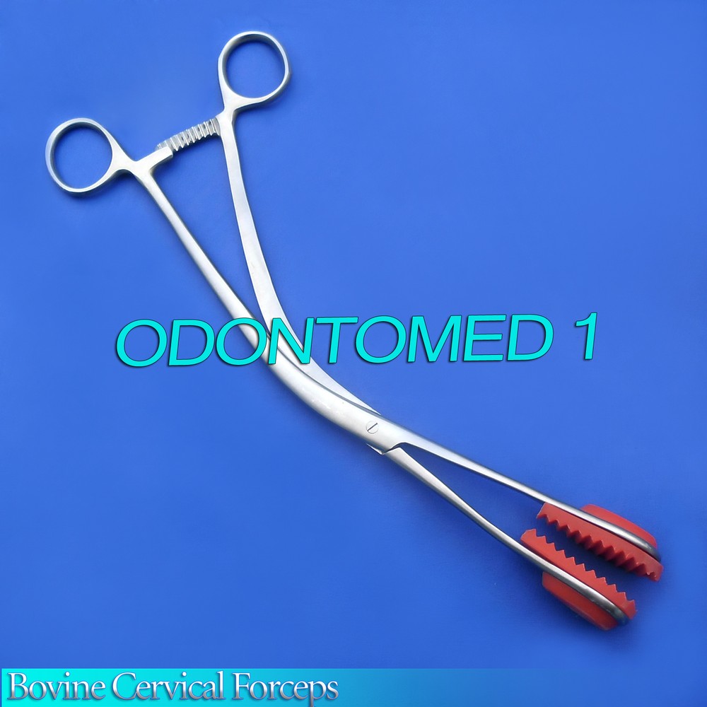 Bovine Cervical Forceps 12" Veterinary Instruments NEW