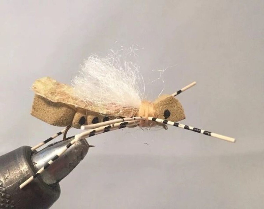 One Dozen (12) - White Cloud Hopper - Tan - Terrestrial