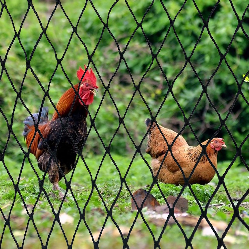 Bird Net - 50' x 50' Garden Netting with 2.4" Square Mesh Protect Fruit Tree ...
