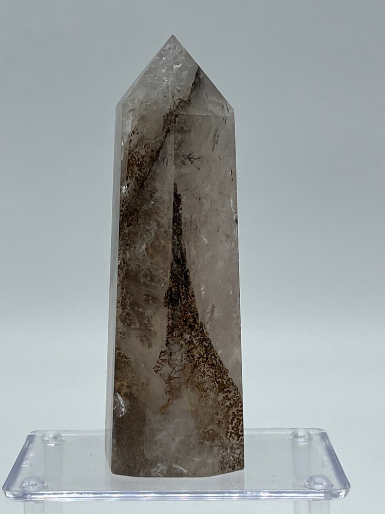 Dendritic Quartz D