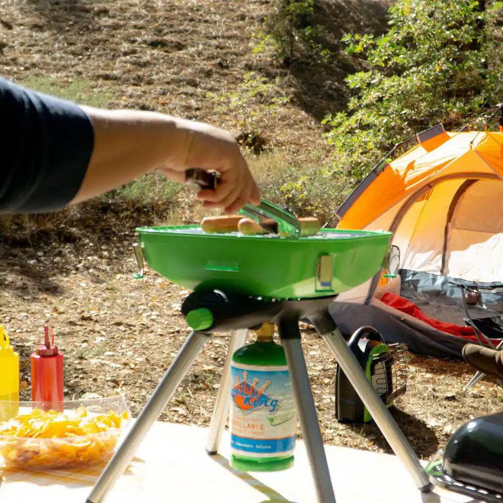 Multi-Function Portable Propane BBQ Grill