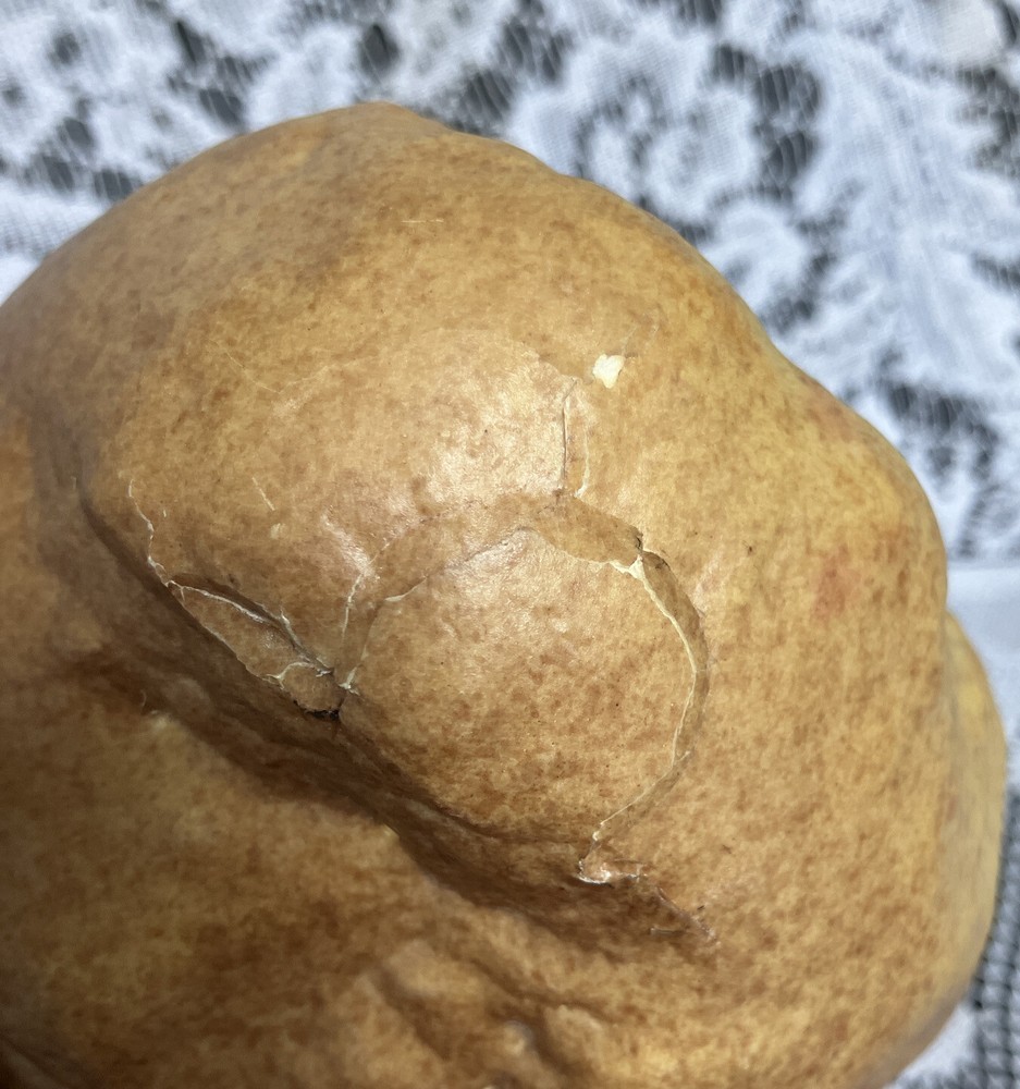 Fake Bread Loaf Food Realistic Display Prop Rustic Bakery