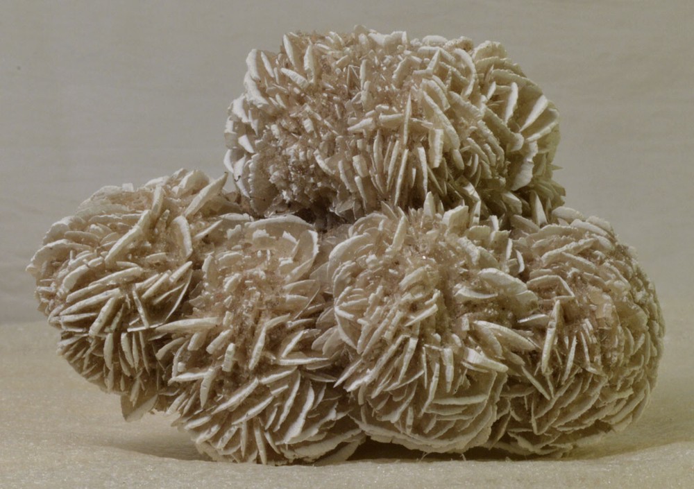 #2225 Large Selenite Rose - Mexico