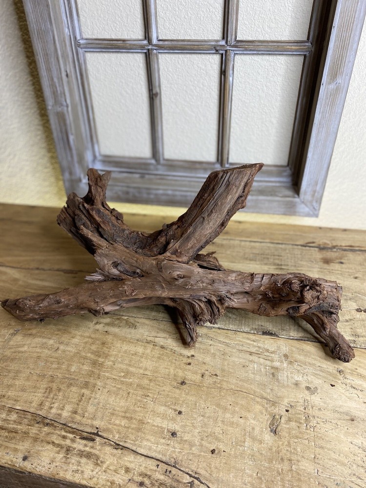 Aquatic Driftwood