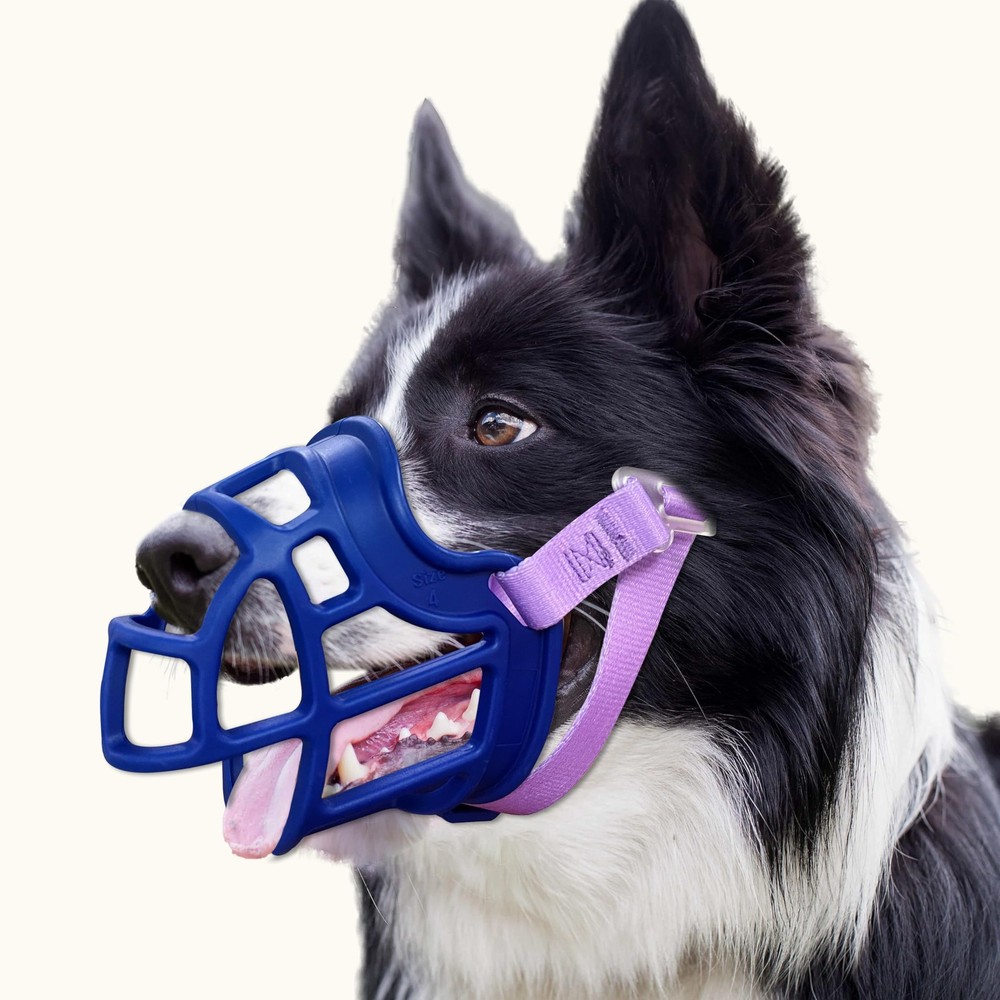 Dog Muzzle, Basket Muzzle Anti Biting Chewing, Sturdy Lightweight Muzzle Allo...