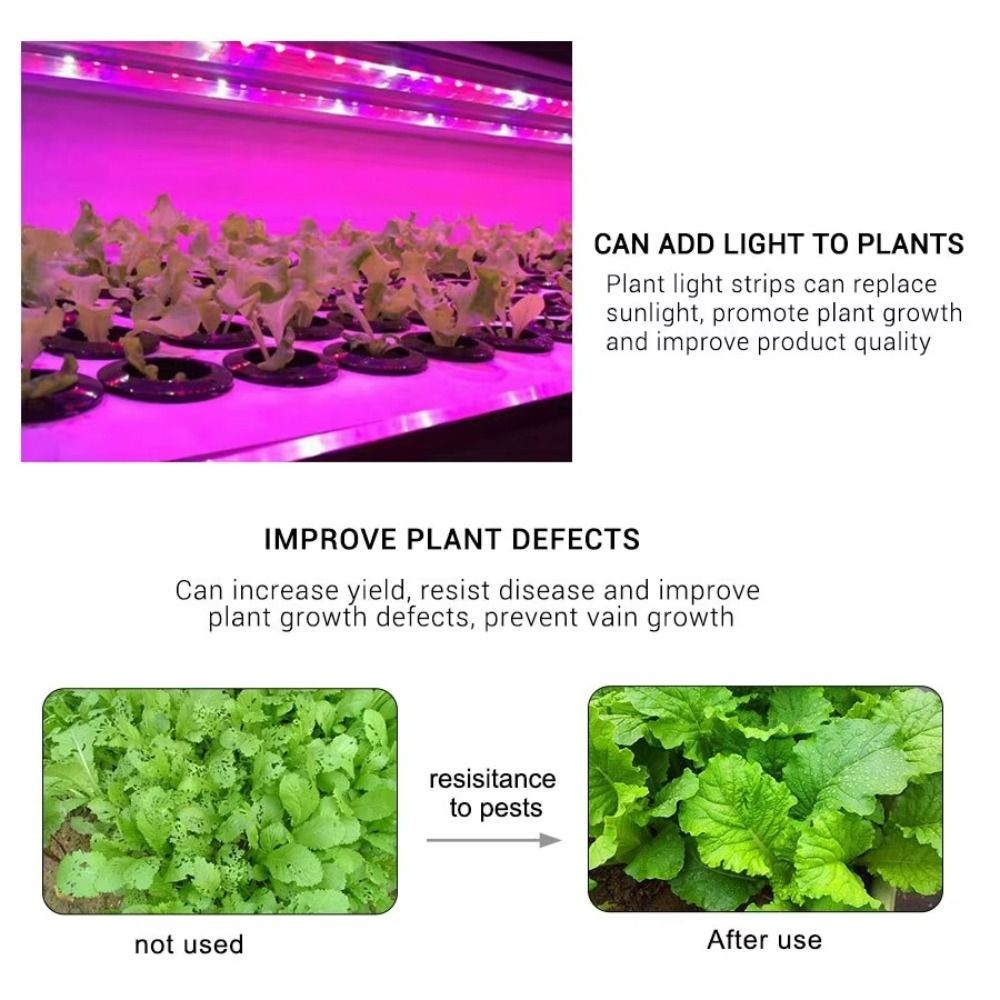 Multi Functional LED Ambient Plant Growth Light Plant Light Ramadan