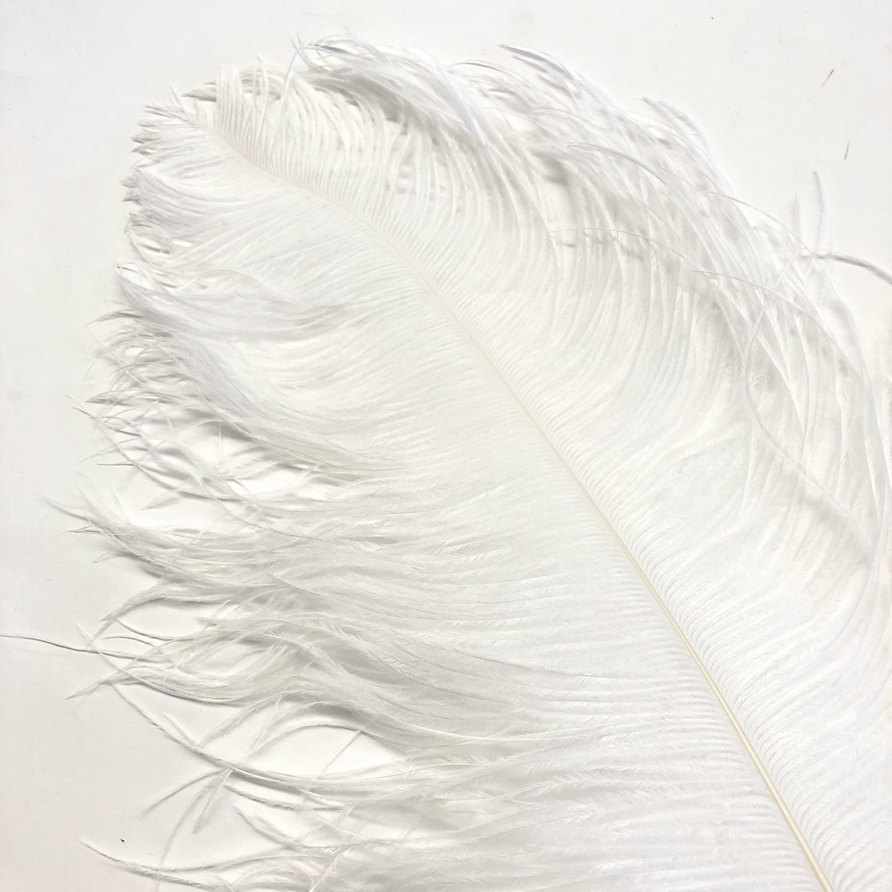 Ostrich Wing Feather Plumes 60-65cm (24-26") - White