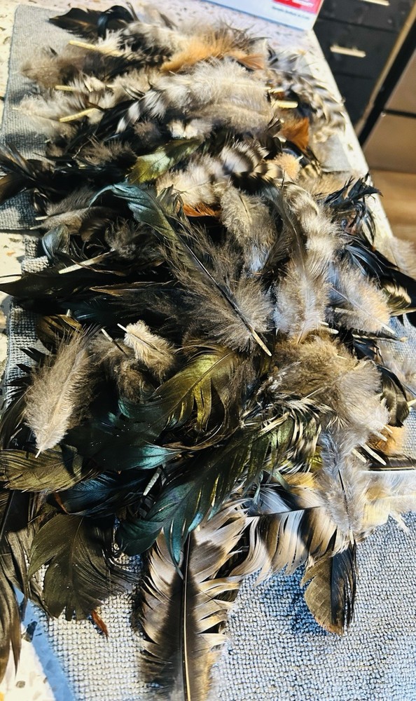 Colorful Chicken Feathers