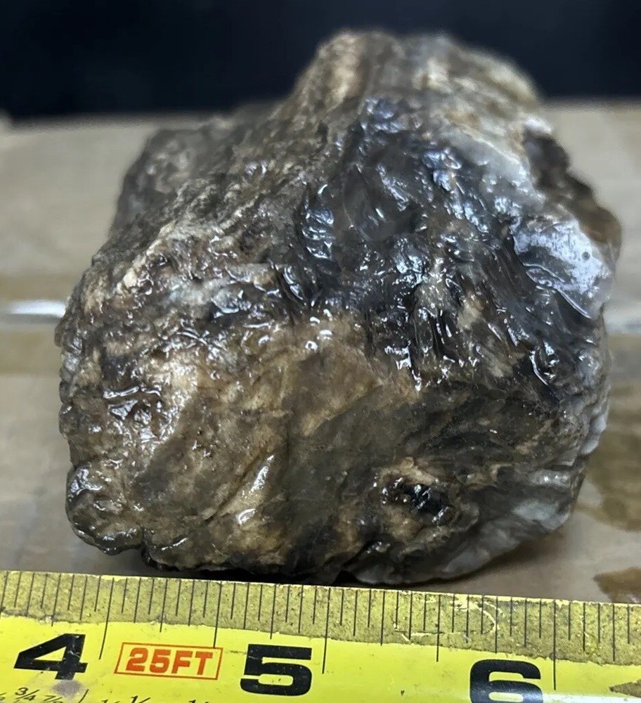 Silver Creek Junction petrified wood