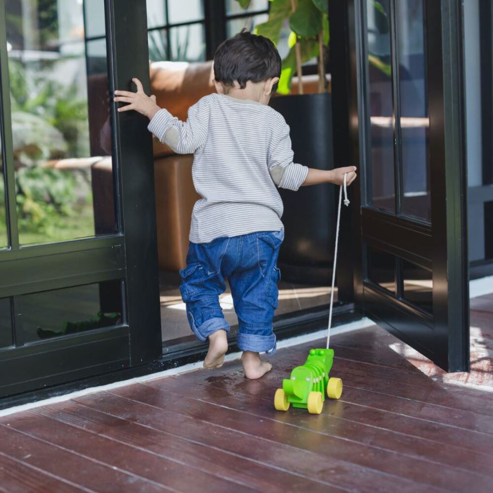 PlanToys Dancing Alligator - Open Box