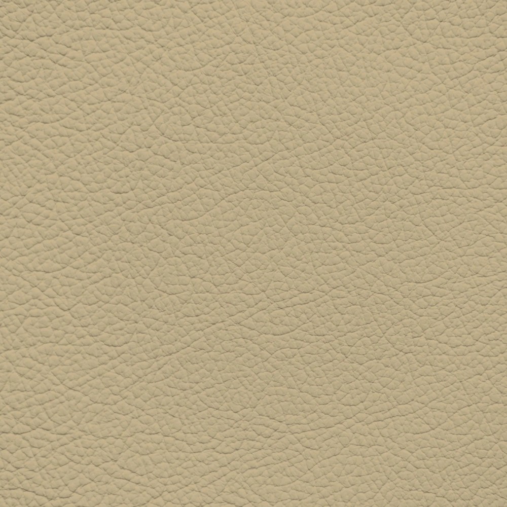 Jaguar Cashmere Leather Dye