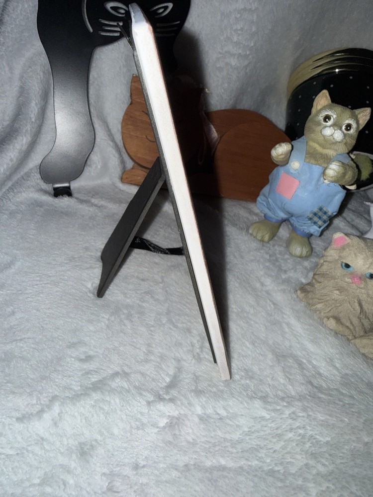 6 Cat themed Decor Items