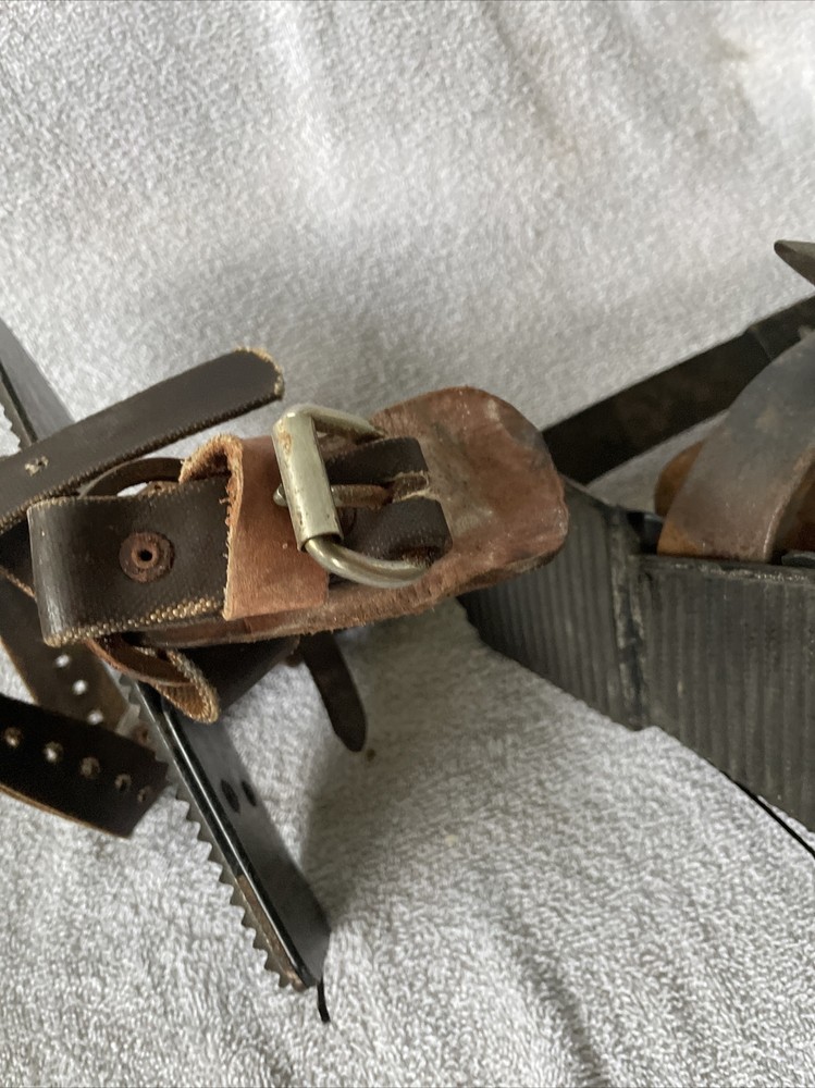 Buckingham Tree Pole Climbing Spike Gaffs (5a)