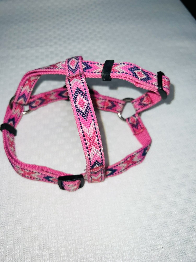 Dog Leash with Matching Harness Pink 55”