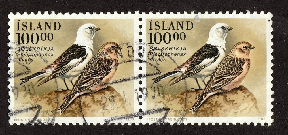 Iceland        672         used pair       Birds