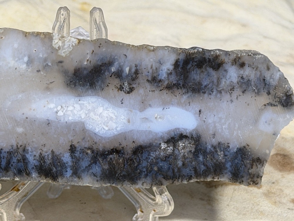 Snake River Dendritic Agate Slab, Lot #298