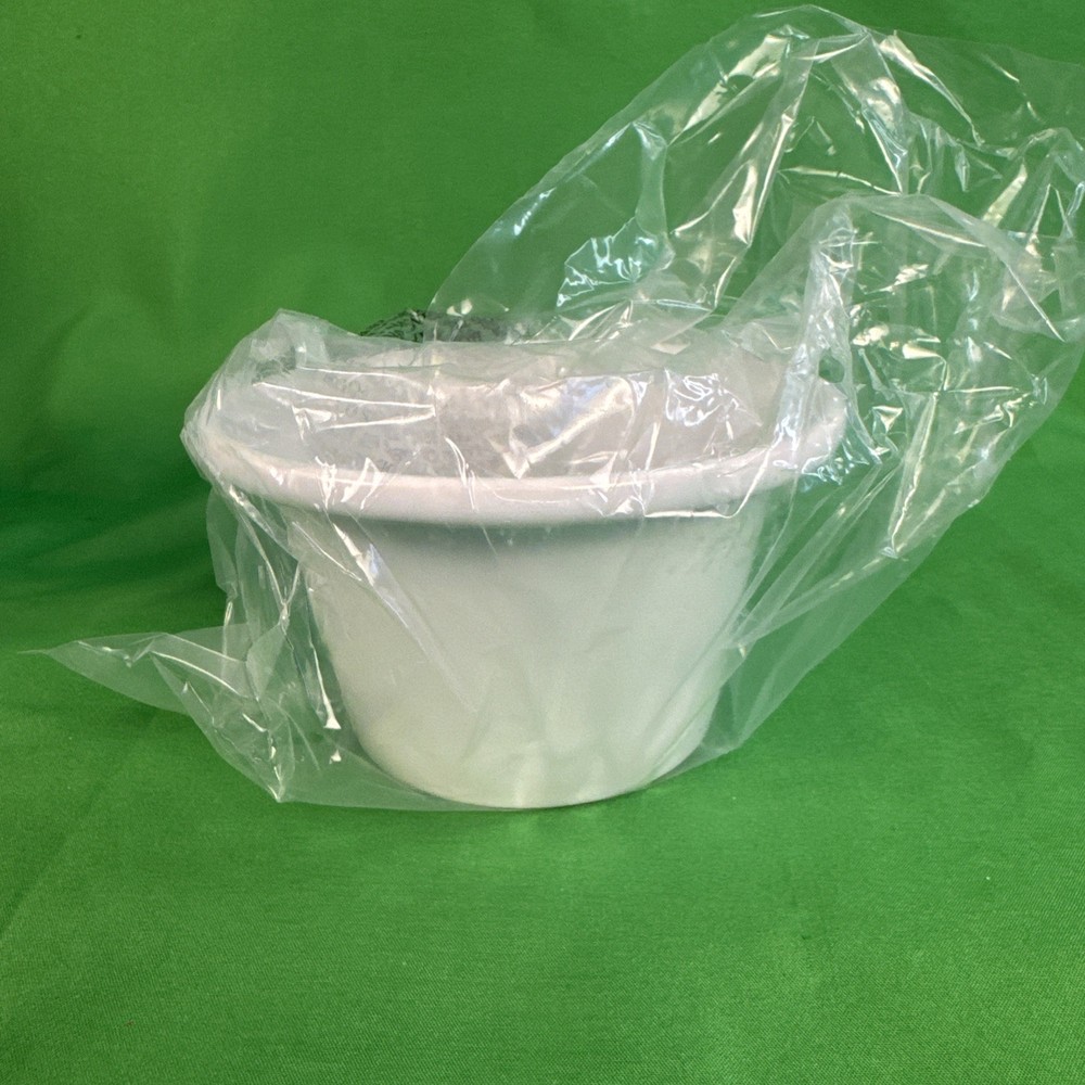 Velata White Ceramic Dip Chiller New