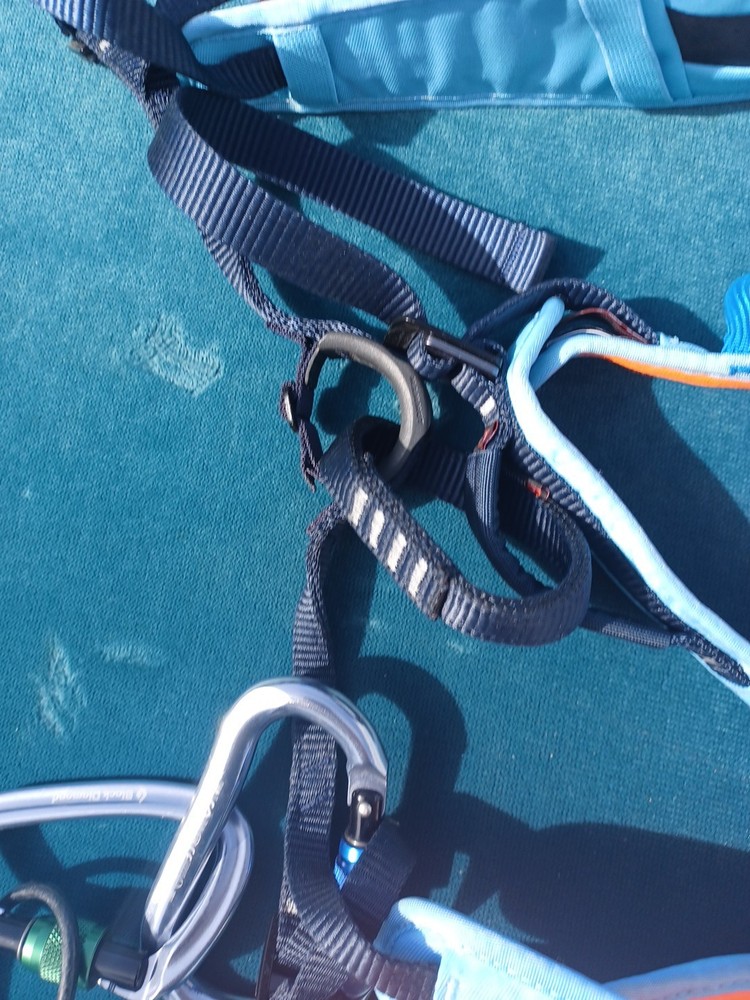 Mammut Climbing Harness