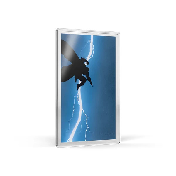 Batman: The Dark Knight Returns™ Blind Box (Single)