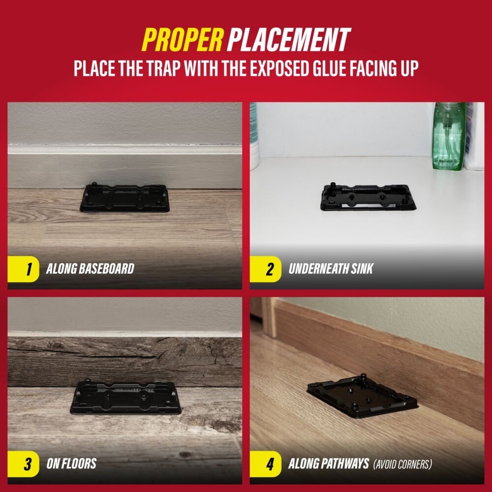 Catchmaster Mouse & Insect Glue Traps