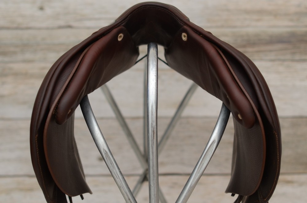Beautiful 2020 17" Antares Evolution saddle for sale!!