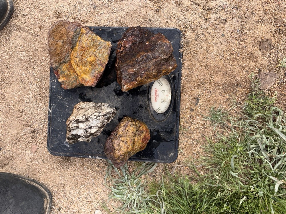 Gold ore