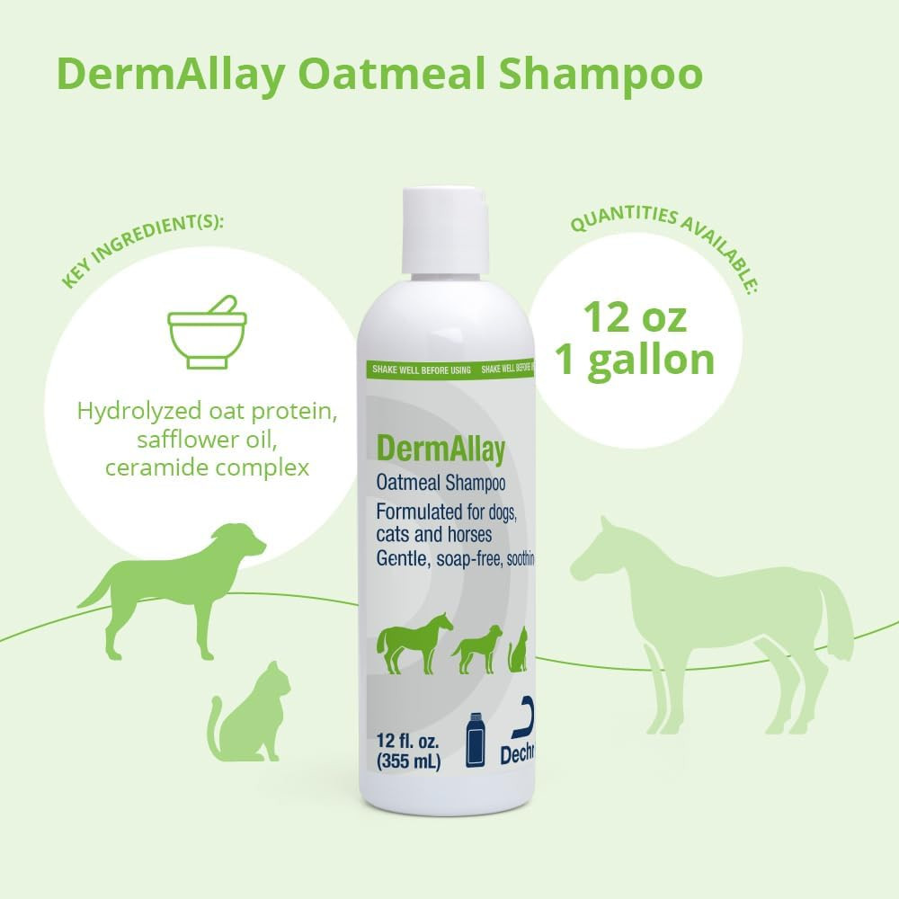 Oatmeal Shampoo, 12 Ounce