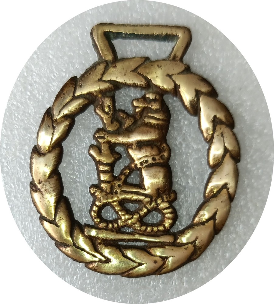 BEAR & STAFF - WARWICK - horse brass (8982)