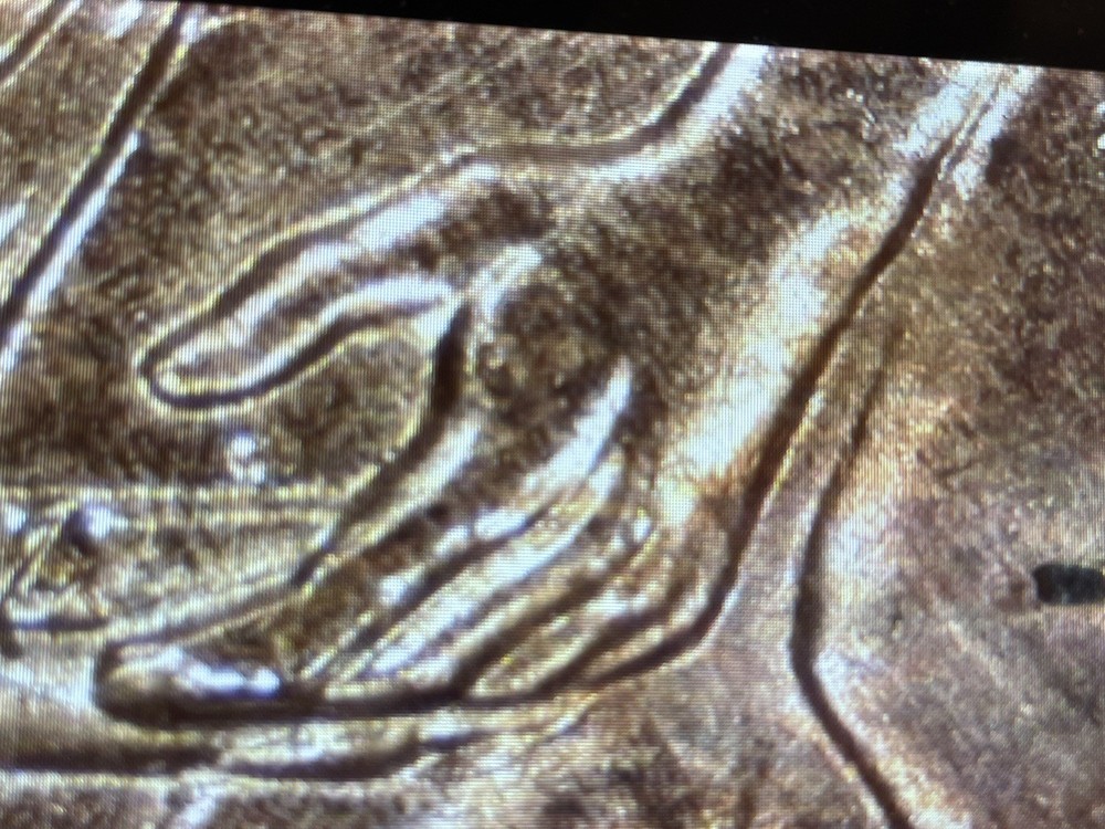 2009 P FY WDDR-060 Lincoln Cent Formative Years Doubled Die Reverse Error