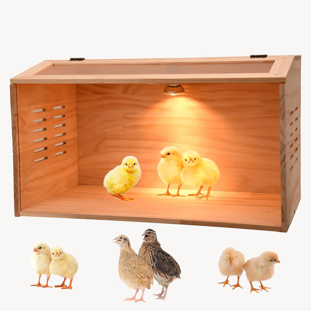 Brooder Box for Chicks Chicken Heater Poultry Brooder 19.7*12*12 inch