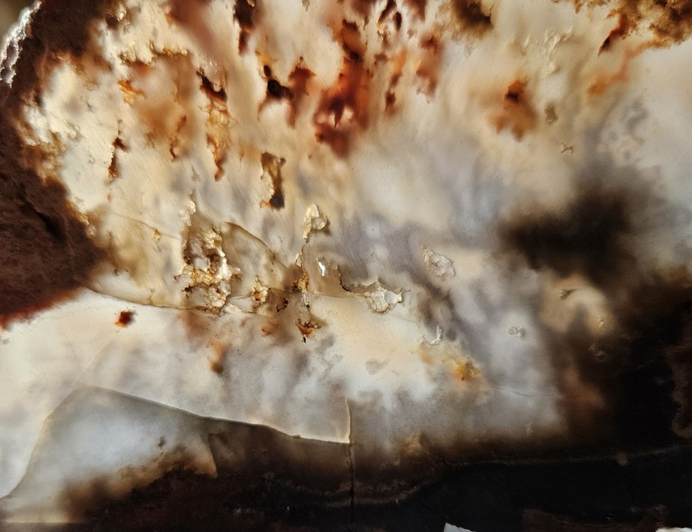 Unknown Lapidary Slab 115 Grams