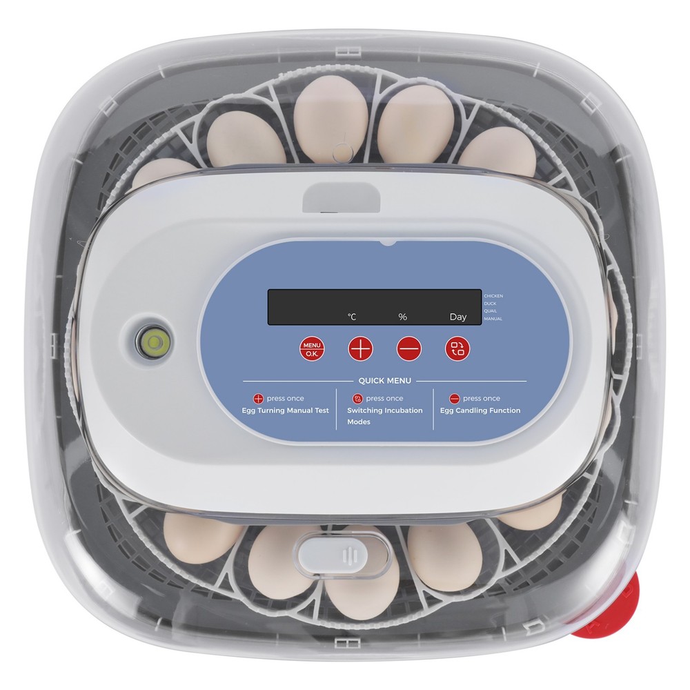 Incubators for Hatching Eggs, 24/48/56/70 Eggs with Automatic Egg Turning