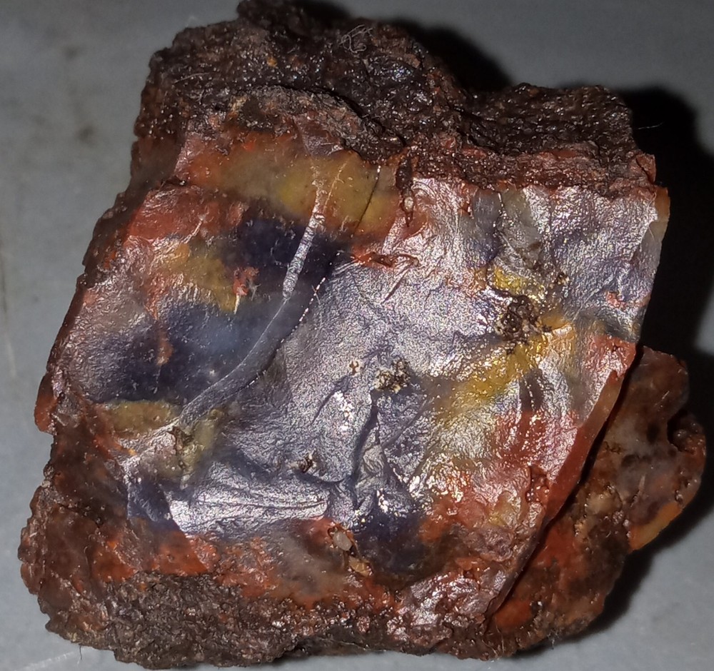 Petrified Wood Rough Specimen AZ 50g