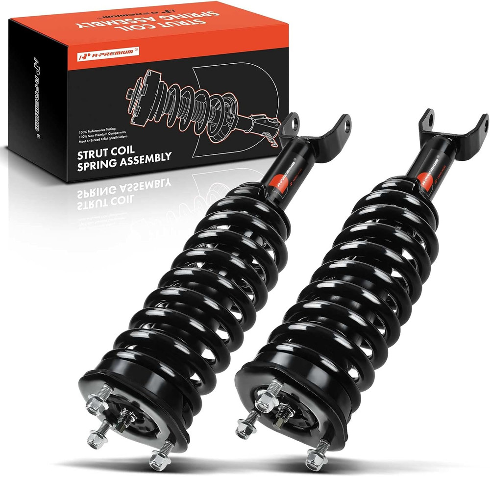 Front Pair (2) Complete Strut & Coil Spring Assembly Compatible with Dodge Dakot