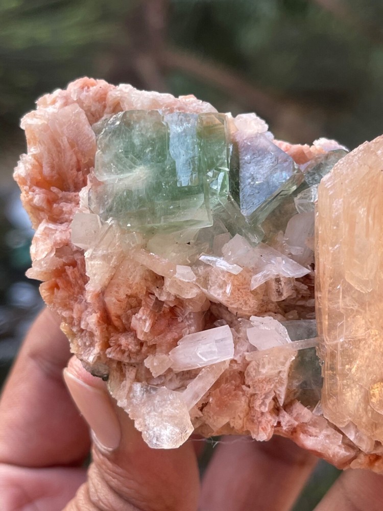 Dark green apophyllite crystals with orange stilbite