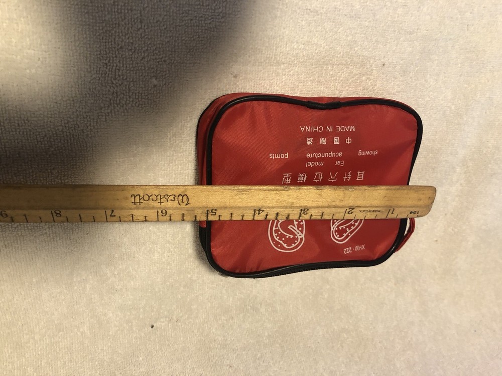 Vtg Human Ear Acupuncture Model w/Acupuncture Points