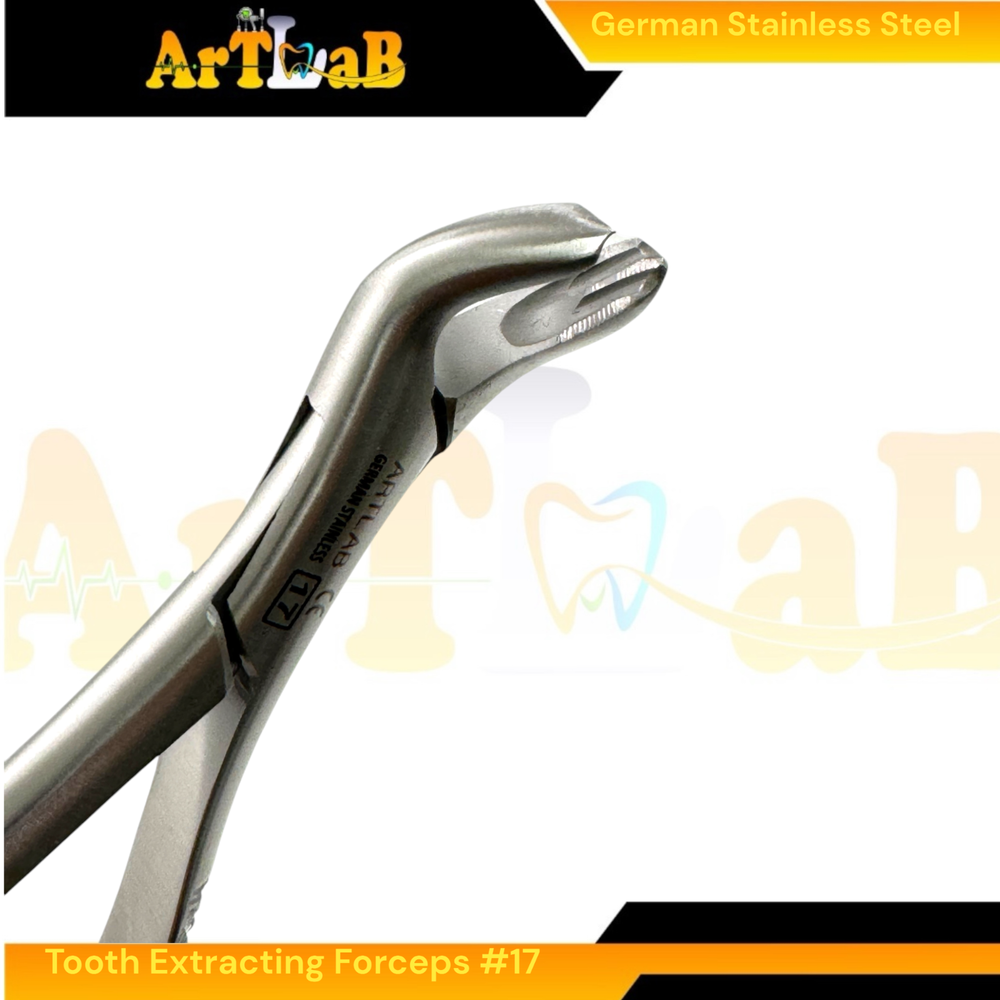 Dental Tooth Extraction Forceps Upper Molar Pliers No. 17 - German Stainless