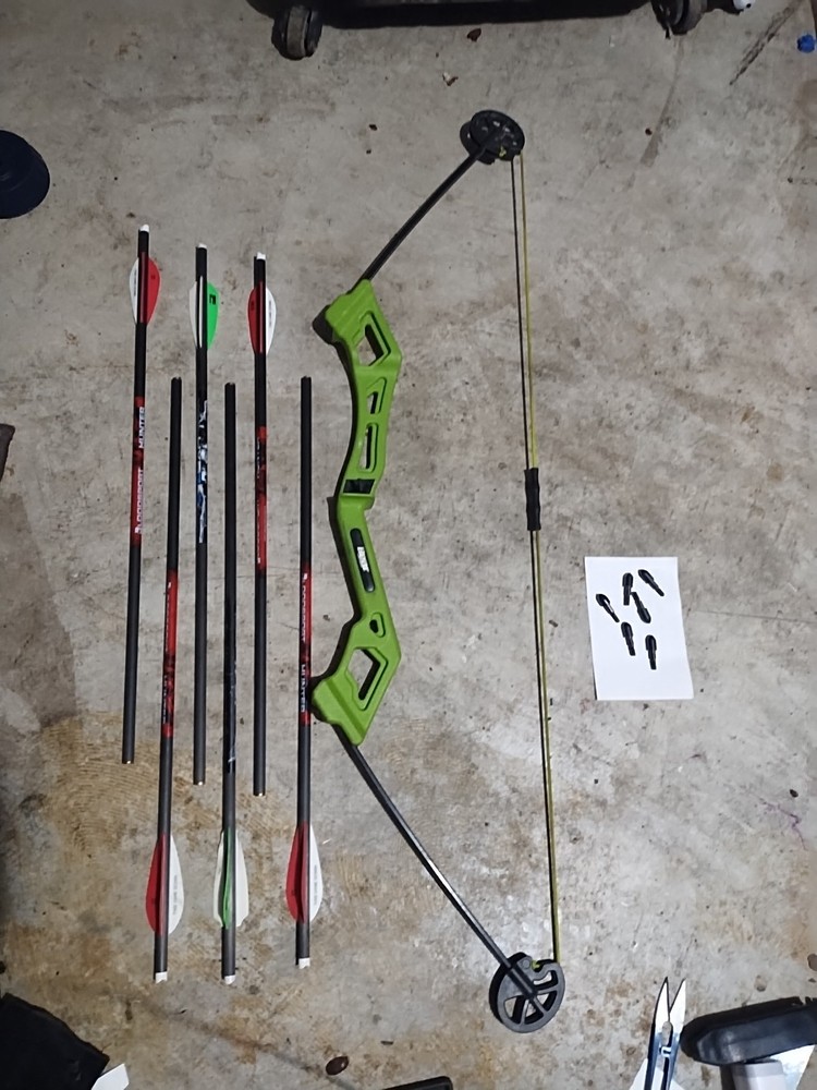 Kids Bear Valiant Compound Bow Archery 15 Lb Draw & 6 Arrows