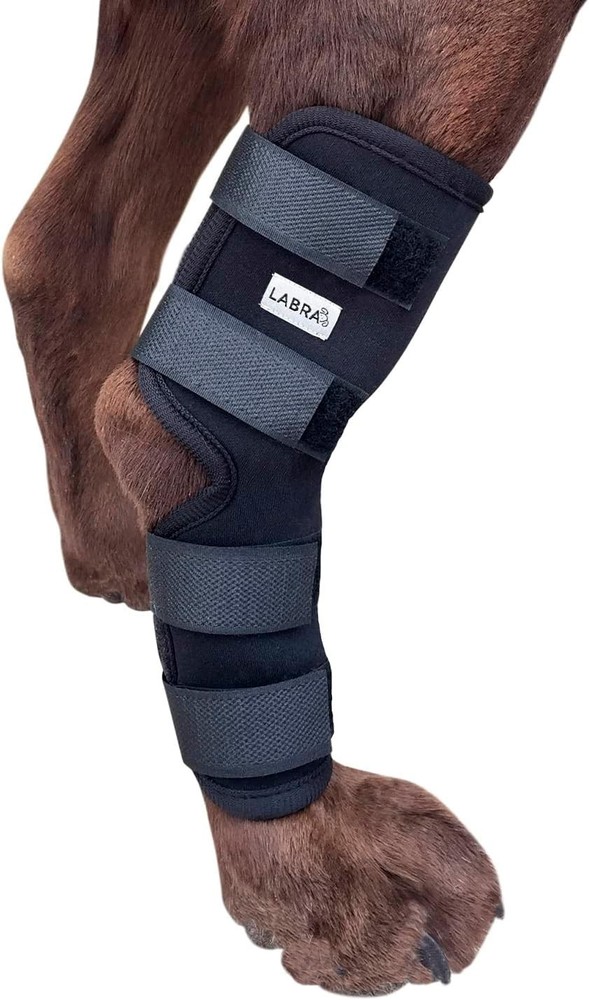 Dog Rear Leg Hock Joint Compression Wrap - Supportive Brace for Weak Back Leg...