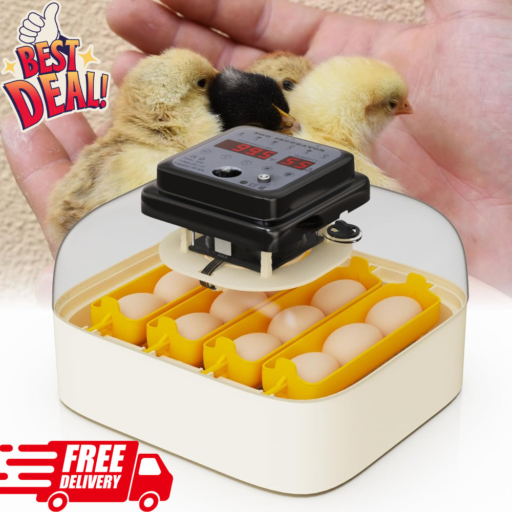 Egg Incubator with Automatic Egg Turning and Humidity Control 16 Eggs