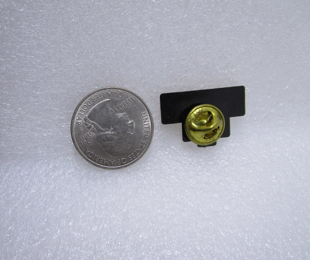 123 Success Plastic Pin
