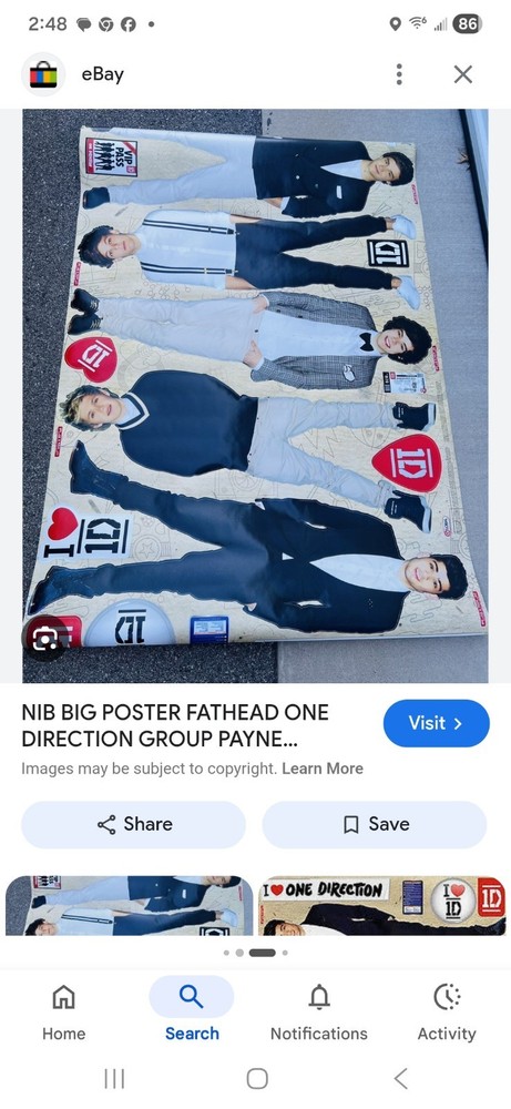 BIG FATHEAD 20X50, ONE DIRECTION