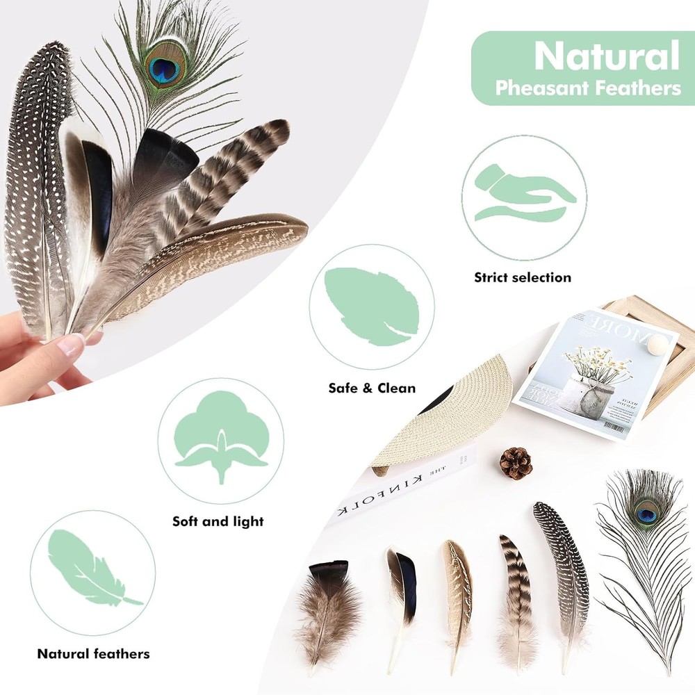 Natural Feathers Bulk - 30PCS - 6 Styles Assorted Natural Feathers, Peacock Feat