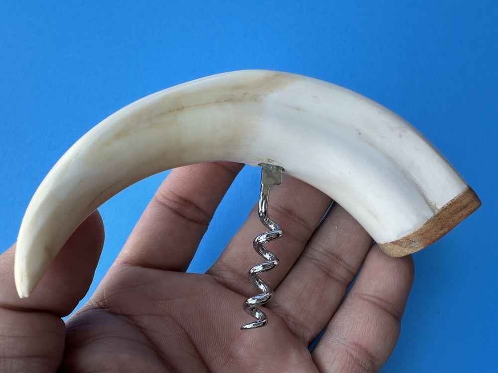 Warthog Tusk Cork Screw