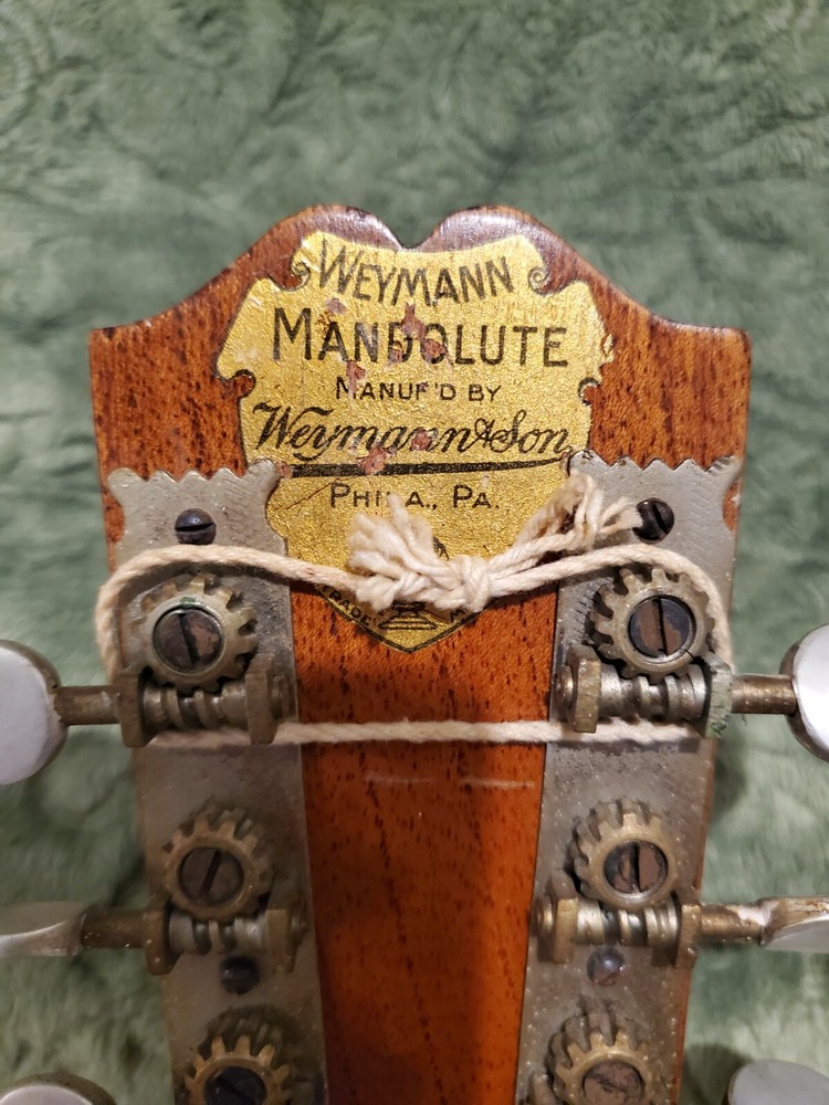 1920's Weymann Mandolute