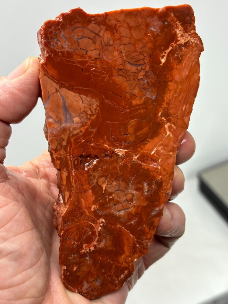 Cotton Candy Agate Slab Cabbing Lapidary Collecting Combo Ship Avail