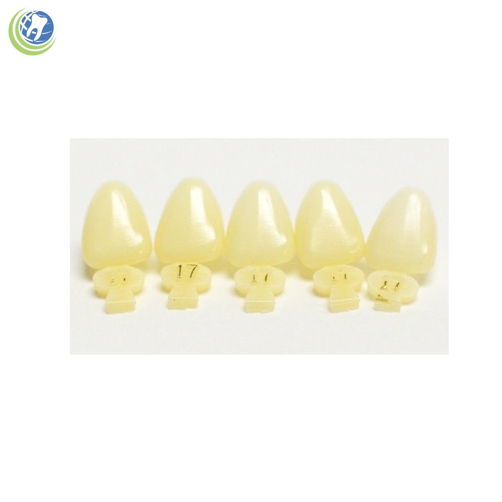 DENTAL POLYCARBONATE TEMPORARY CROWNS #17 (ULC) UPPER LEFT CENTRAL 5/PACK